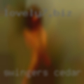 Swingers Cedar Hill